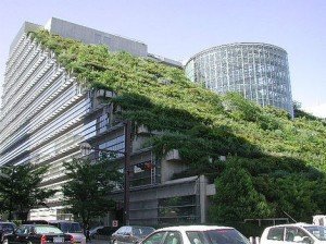 green-roof