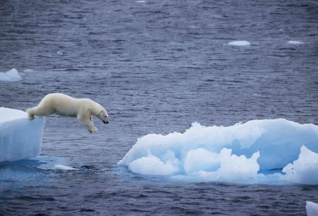 Polar Ice Caps Melting 2013