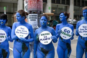 Consequences for vegan planet