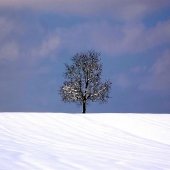 118
