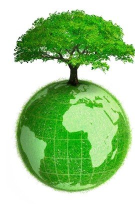 How You Can Save the Planet By Voting